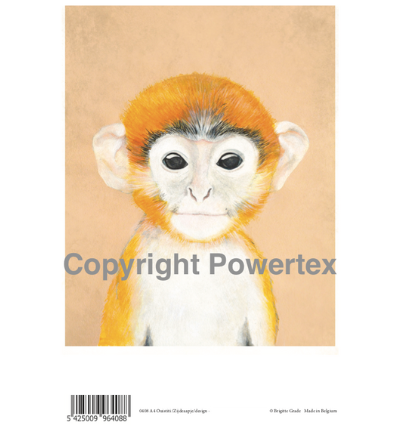 A4 Powerprint Ouistiti