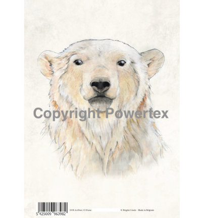 A4 Powerprint Bear full colour