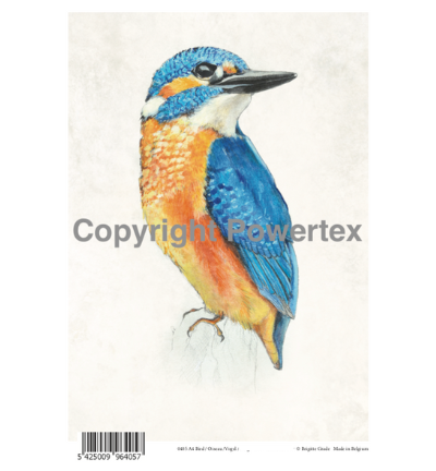A4 Powerprint Coloured Bird