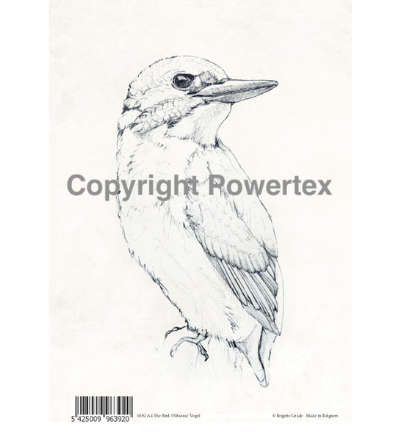 A4 Powerprint Bird