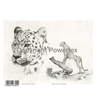 A4 Powerprint Jachtluipaard