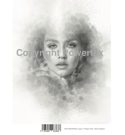 A4 Powerprint The Ice queen