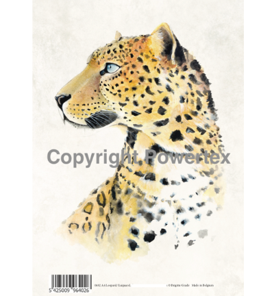 A4 Powerprint Luipaard