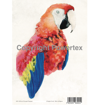 A4 Powerprint Papegaai