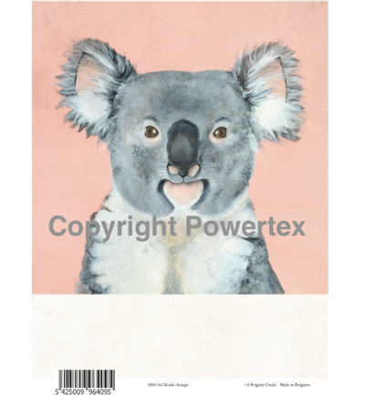 A4 Powerprint Koala