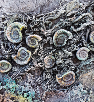 FOSSIL MOULD SMALL